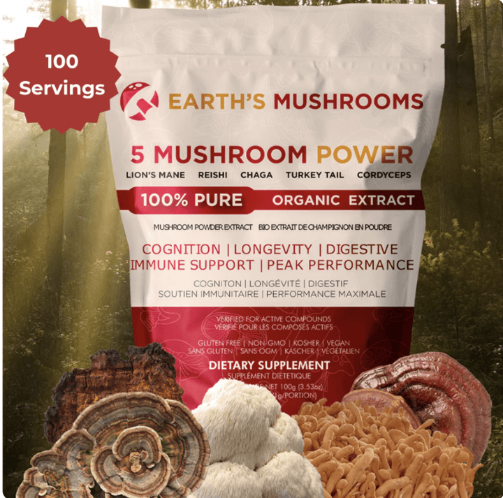 Organic 5 Mushroom Power blend bag featuring Lion's Mane, Reishi, Chaga, Turkey Tail, and Cordyceps for energy and immune support.